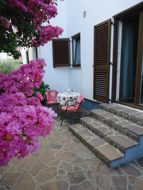 Apartments Mirela Novigrad  Room photo
