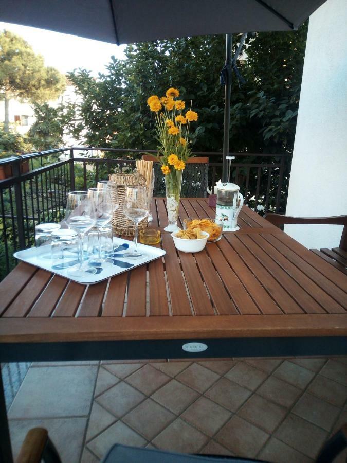 Apartments Mirela Novigrad  Exterior photo
