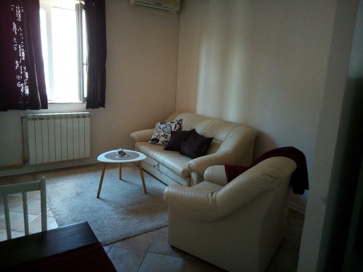 Apartments Mirela Novigrad  Exterior photo