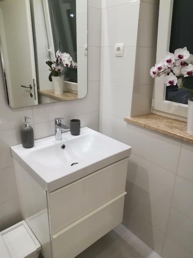 Apartments Mirela Novigrad  Exterior photo